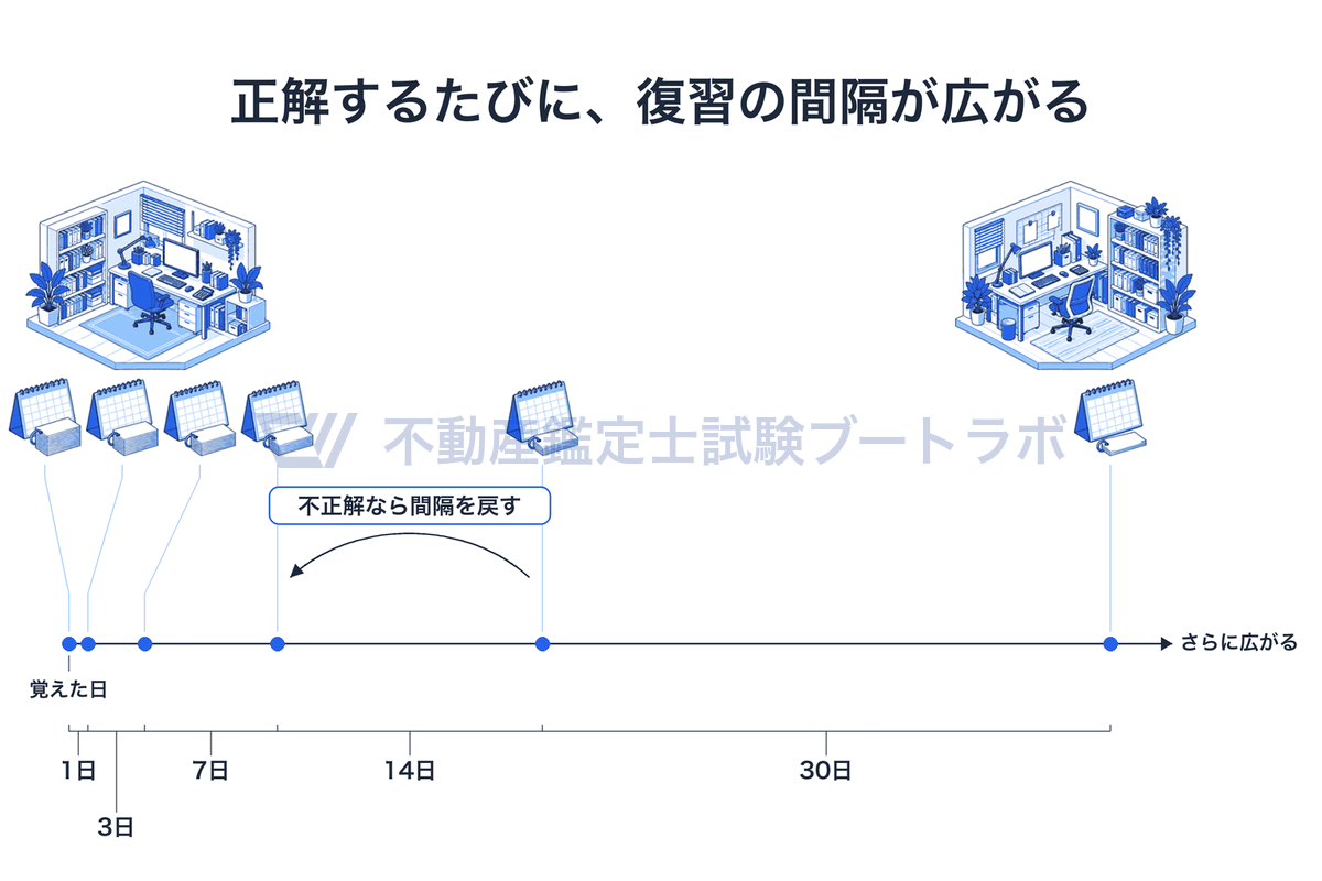 横の時間軸に、覚えた日から復習日の印が並ぶ。正解するたびに次の復習までの間隔が1日、3日、7日、14日、30日と広がり、その先もさらに広がる。不正解なら間隔を戻す矢印が添えられている。