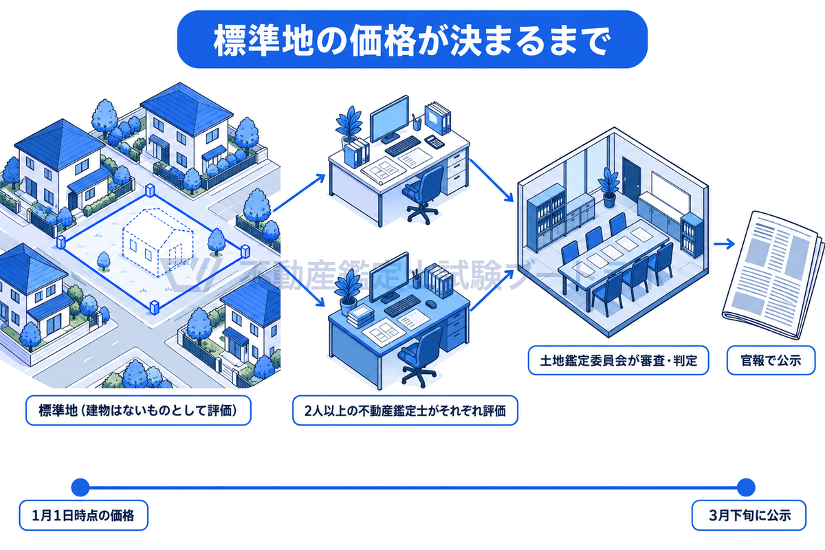 地価公示の標準地の価格が決まる流れを示す図。住宅街の標準地を建物がないものとして2人以上の不動産鑑定士がそれぞれ評価し、土地鑑定委員会が審査・判定して官報で公示する流れと、1月1日時点の価格を3月下旬に公示することを示している。