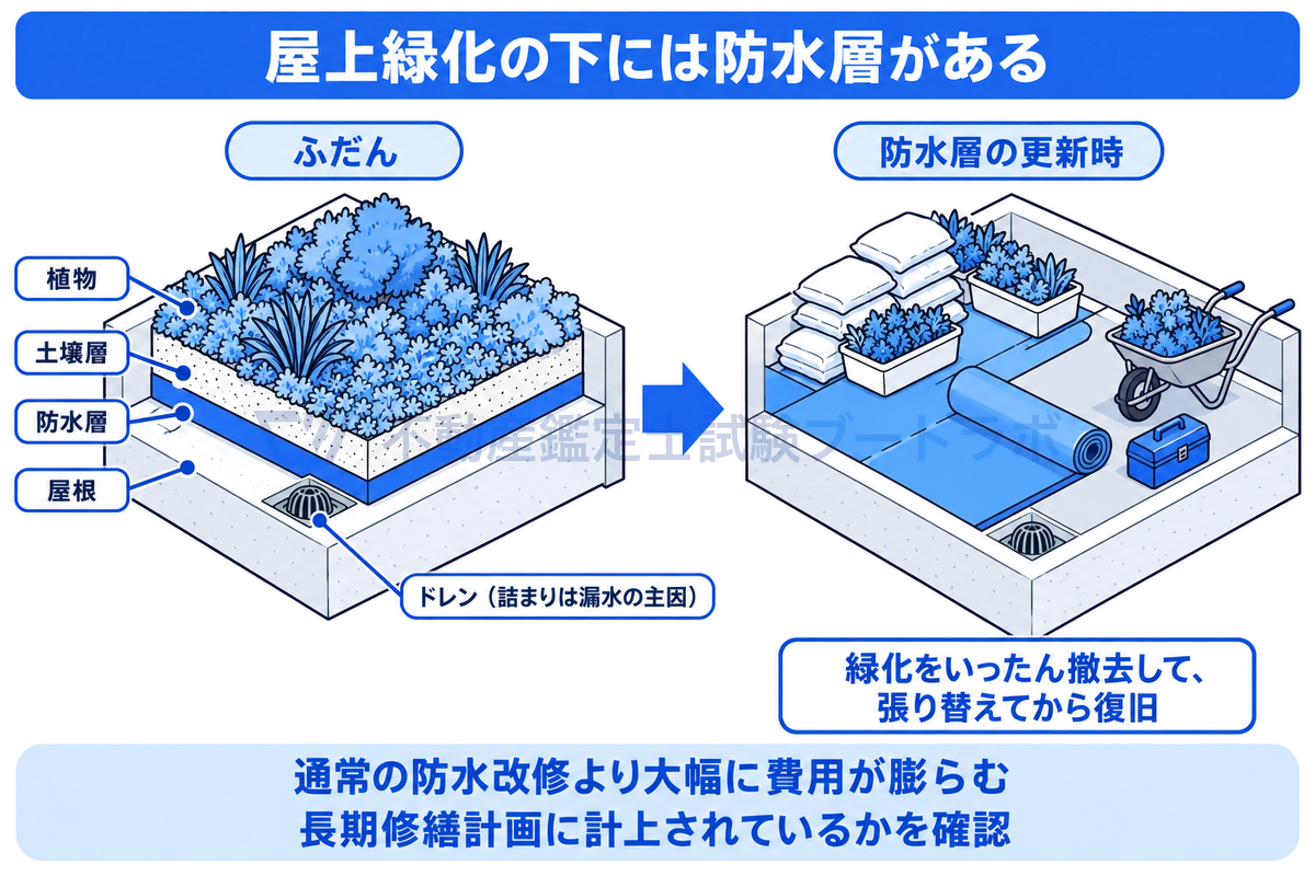 屋上緑化の断面を、ふだんの状態と防水層の更新時の2場面で比べたイラスト。植物・土壌層の下に防水層があり、防水層を張り替えるには緑化をいったん撤去して復旧する必要があるため、通常の防水改修より費用が膨らむことを示す。
