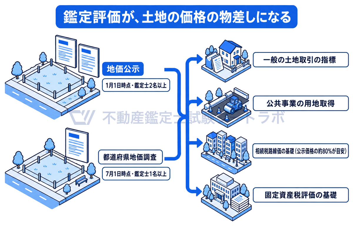 地価公示と都道府県地価調査で不動産鑑定士が行う鑑定評価が、一般の土地取引の指標、公共事業の用地取得、相続税路線価の基礎、固定資産税評価の基礎へと広がっていく流れを、街の情景で示した図。