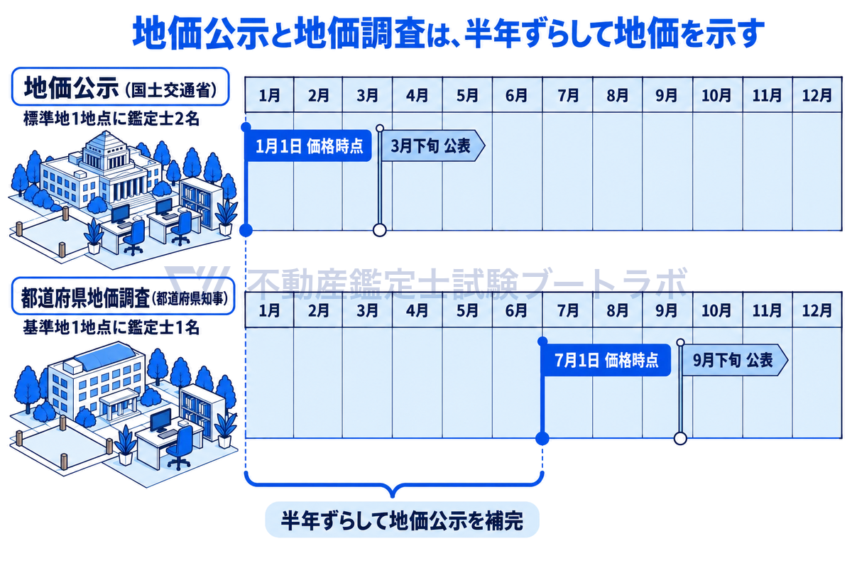 地価公示と都道府県地価調査の時期を比べた年表の図。地価公示は1月1日時点の価格を3月下旬に、地価調査は7月1日時点の価格を9月下旬に公表する。価格時点が半年ずれているため、地価調査は地価公示を補完する。