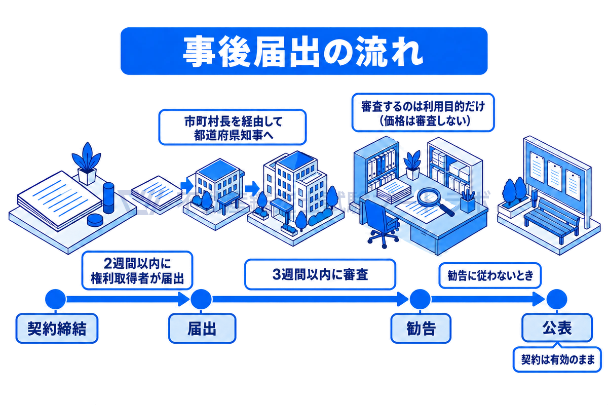 事後届出の流れを時間軸で示した図。契約締結から2週間以内に権利取得者が市町村長を経由して都道府県知事に届け出る。知事は3週間以内に利用目的だけを審査して勧告でき、従わないときは公表されるが、契約は有効のまま。