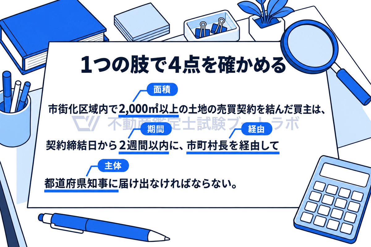国土利用計画法の事後届出を例に、1つの選択肢の中で確かめる4点を示した図。市街化区域内で2,000㎡以上の土地の売買契約を結んだ買主は、契約締結日から2週間以内に、市町村長を経由して都道府県知事に届け出る。面積・期間・経由・主体に印がつく。