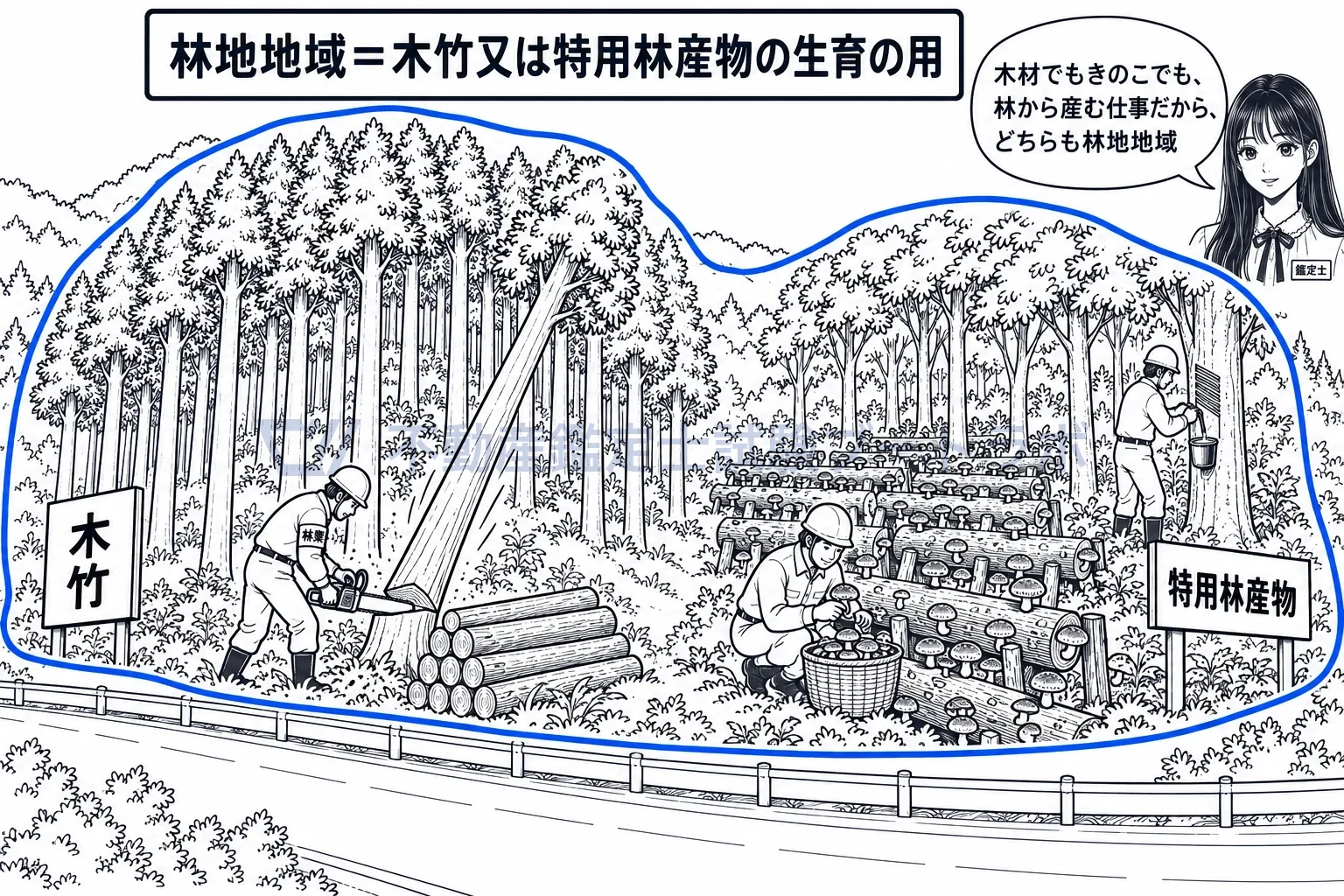 林地地域の図解：木材だけでなく、きのこやうるしのような林の産物を育てる山林も林地地域。