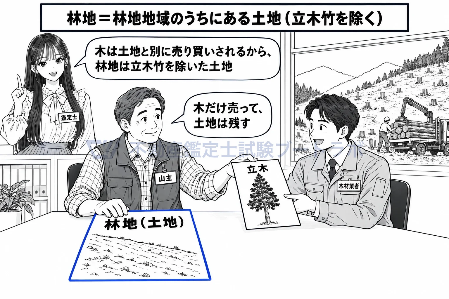 林地地域の図解：山林の売買では、土地（林地）と立木は別々の値札。