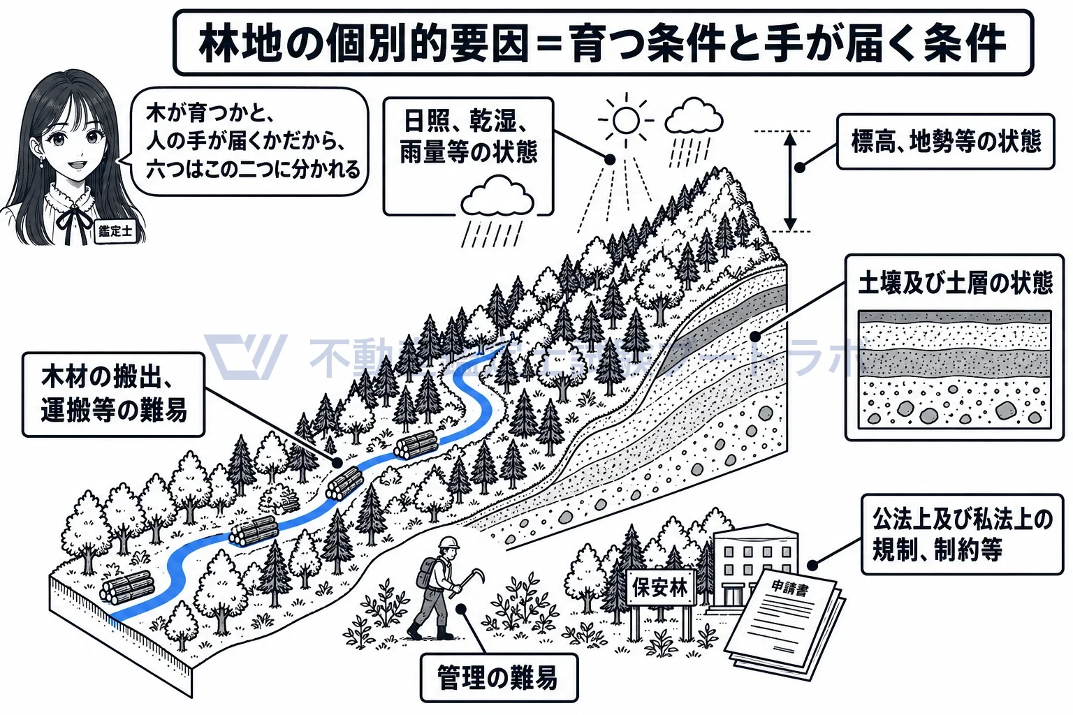 林地の個別的要因の図解:木が育つ三つと、人の手が届く二つに、規制を加えて六つ。