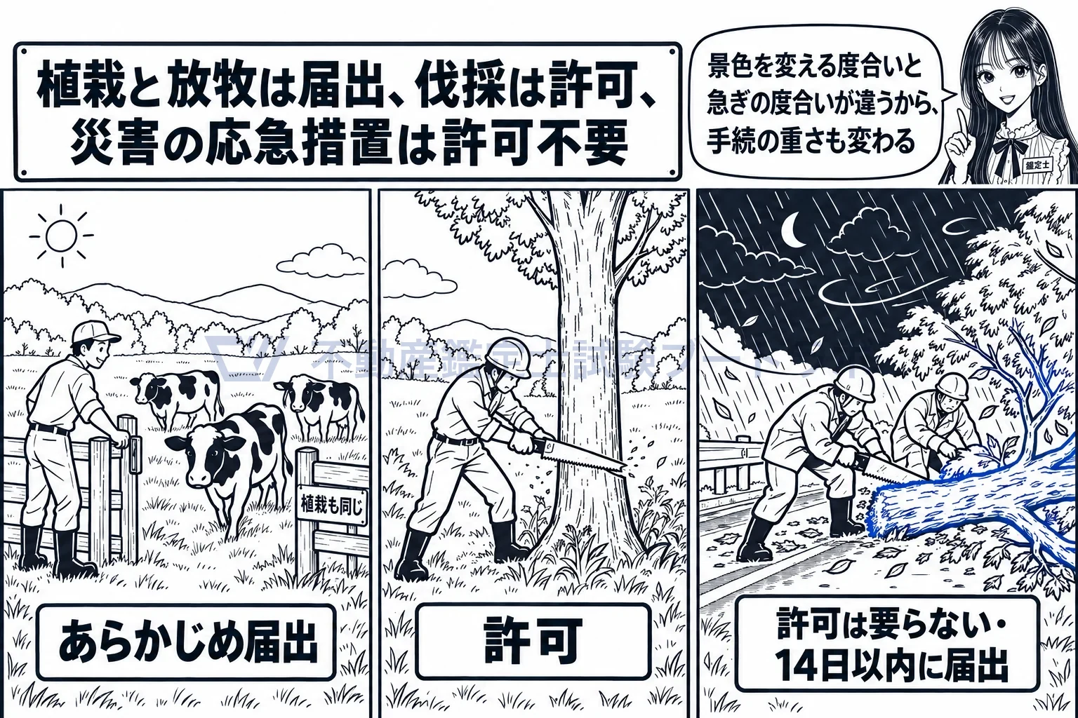 特別地域の図解：植栽と放牧は届出、伐採は許可、災害の応急措置は許可不要で14日以内に届出。