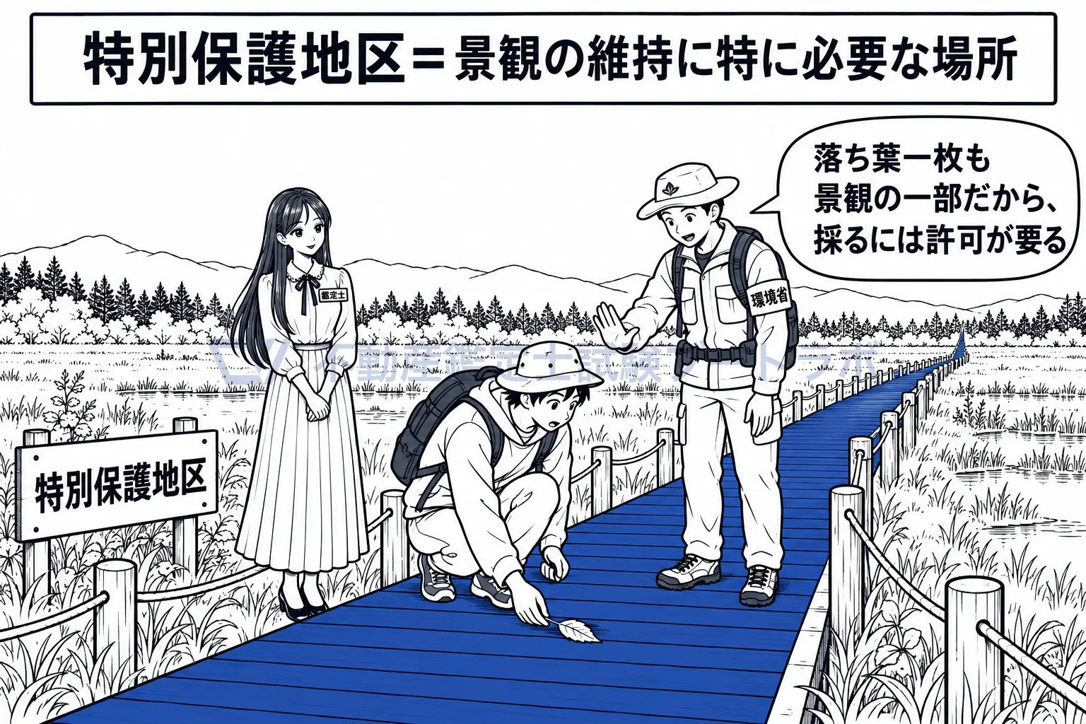 特別保護地区の図解:落ち葉一枚も景観の一部。特別保護地区では採るにも許可が要る。