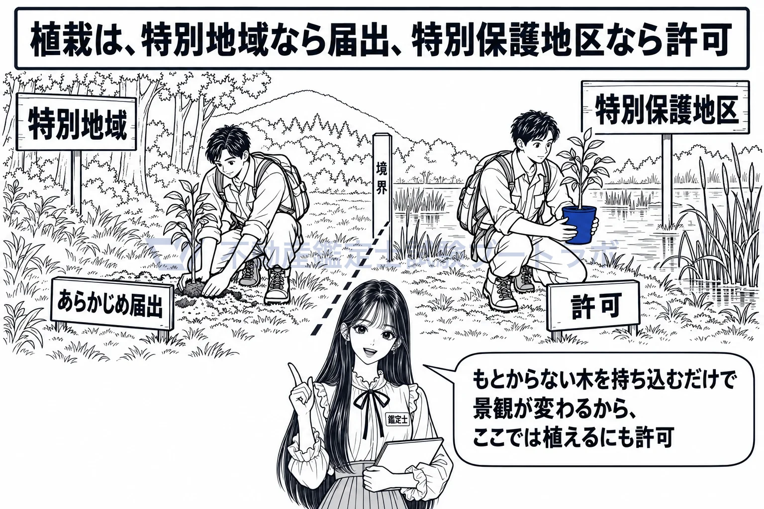 特別保護地区の図解:同じ苗木でも、特別地域なら届出、特別保護地区なら許可。