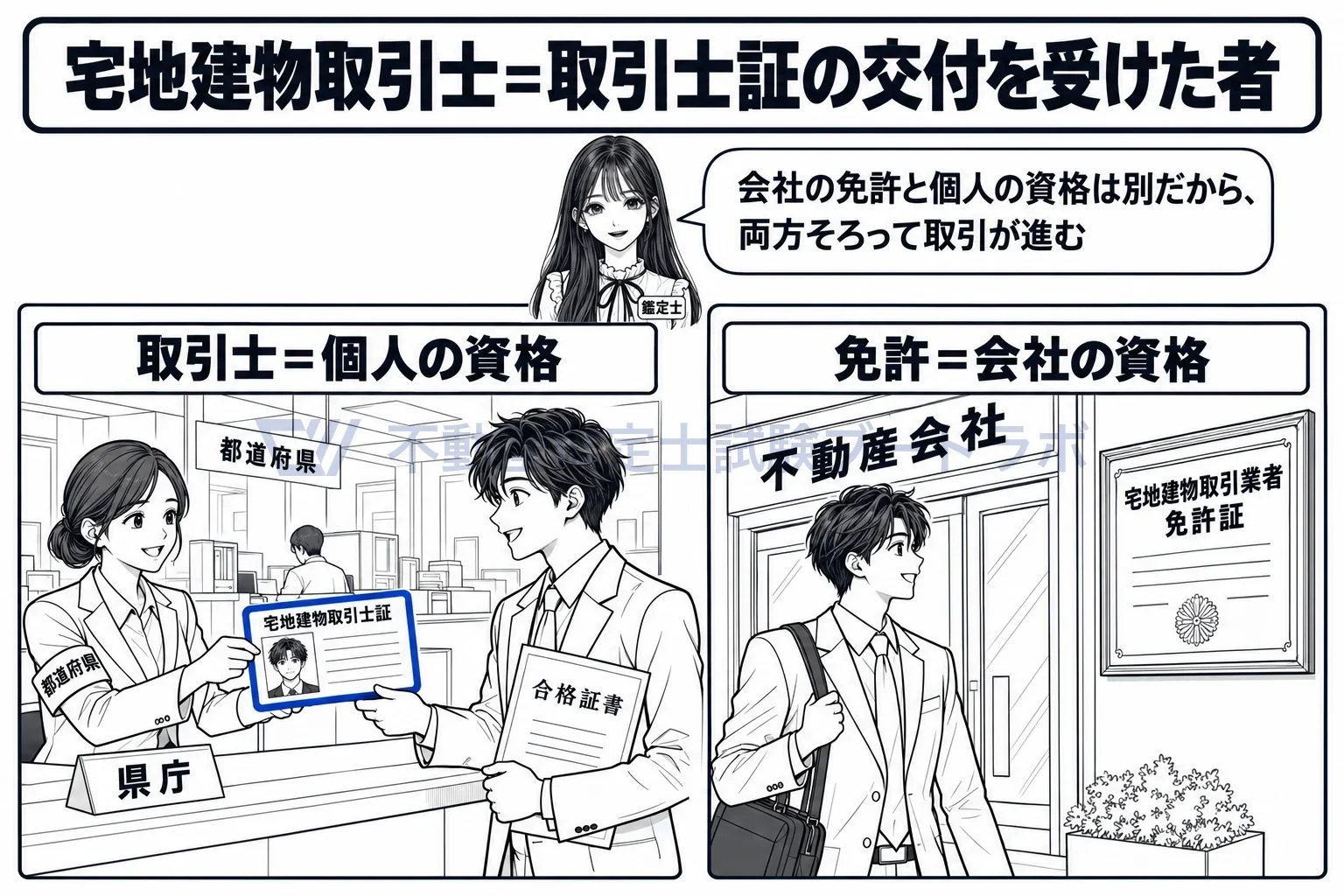 宅地建物取引士の図解：会社の免許は会社に、取引士証は個人に。二つそろって取引が進む。
